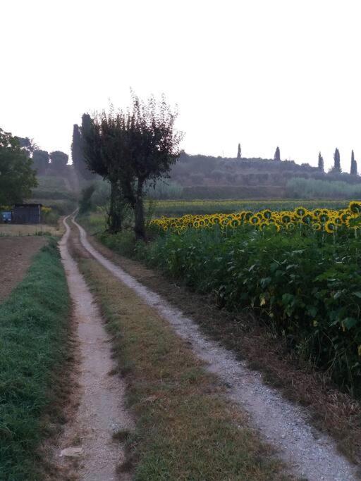 Podere Gian Battaglia Fucecchio Exterior photo