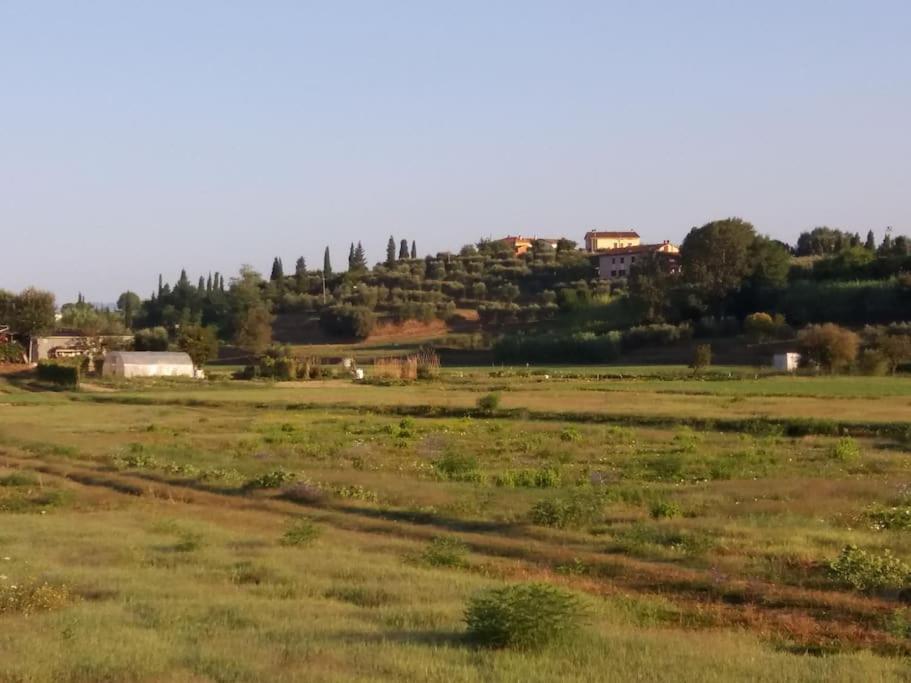 Podere Gian Battaglia Fucecchio Exterior photo