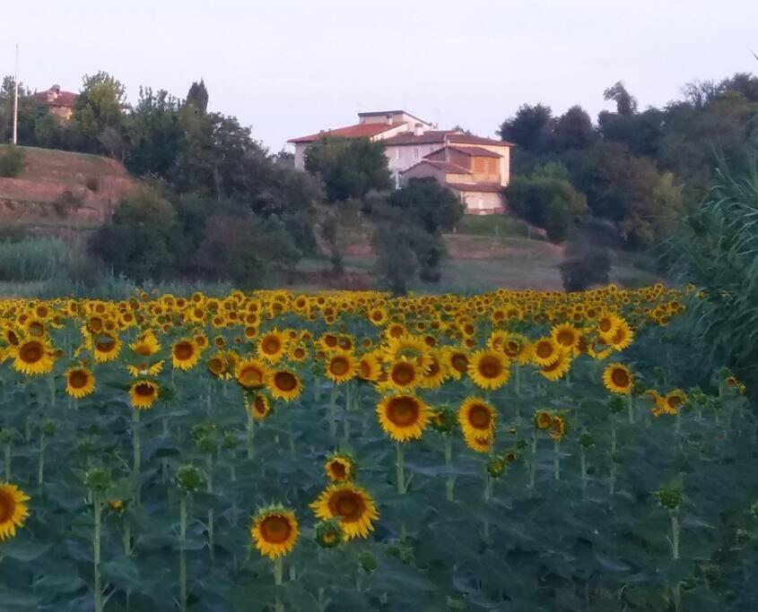 Podere Gian Battaglia Fucecchio Exterior photo