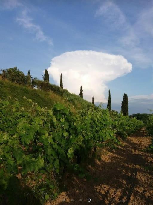 Podere Gian Battaglia Fucecchio Exterior photo