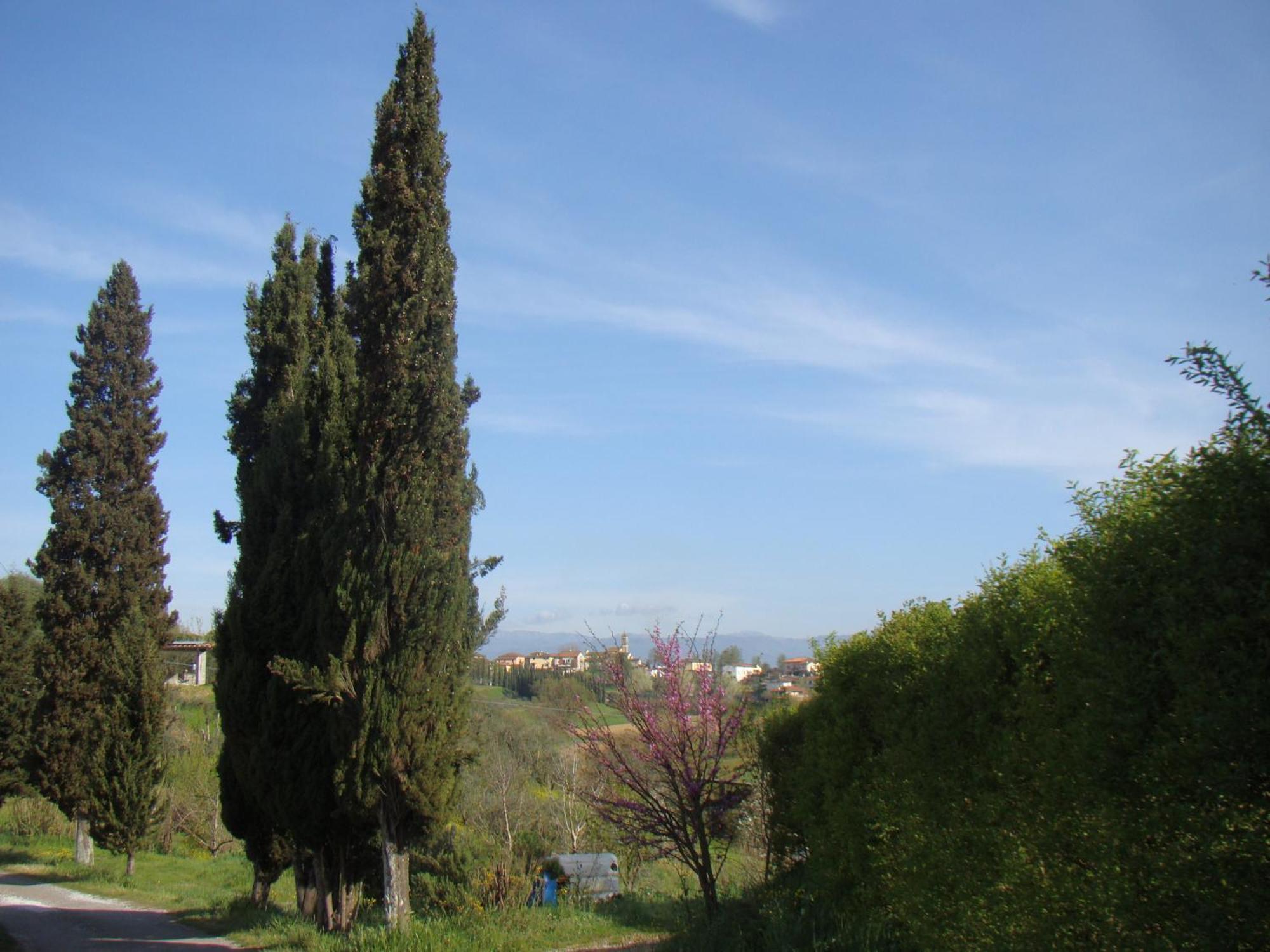 Podere Gian Battaglia Fucecchio Exterior photo