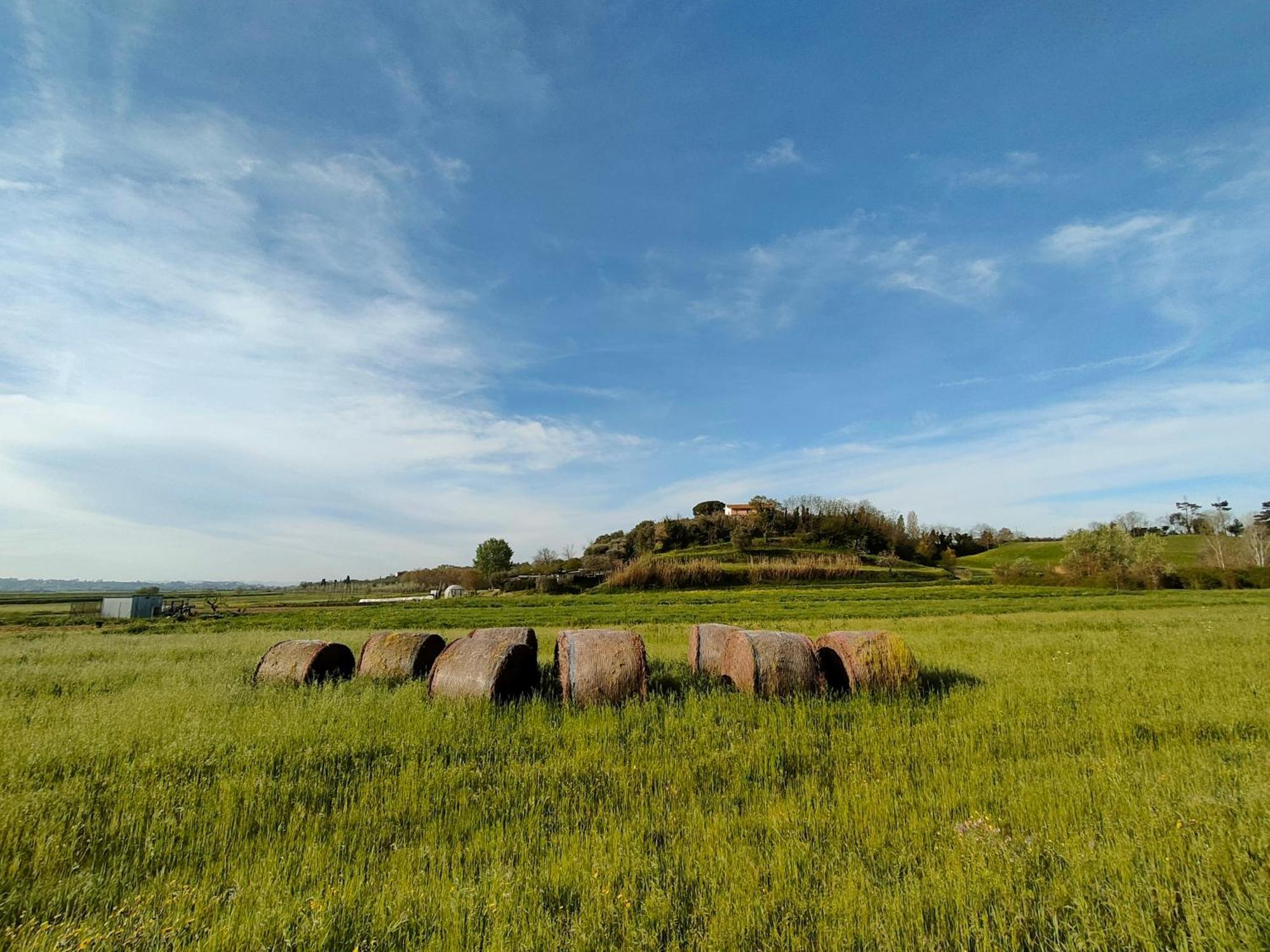 Podere Gian Battaglia Fucecchio Exterior photo