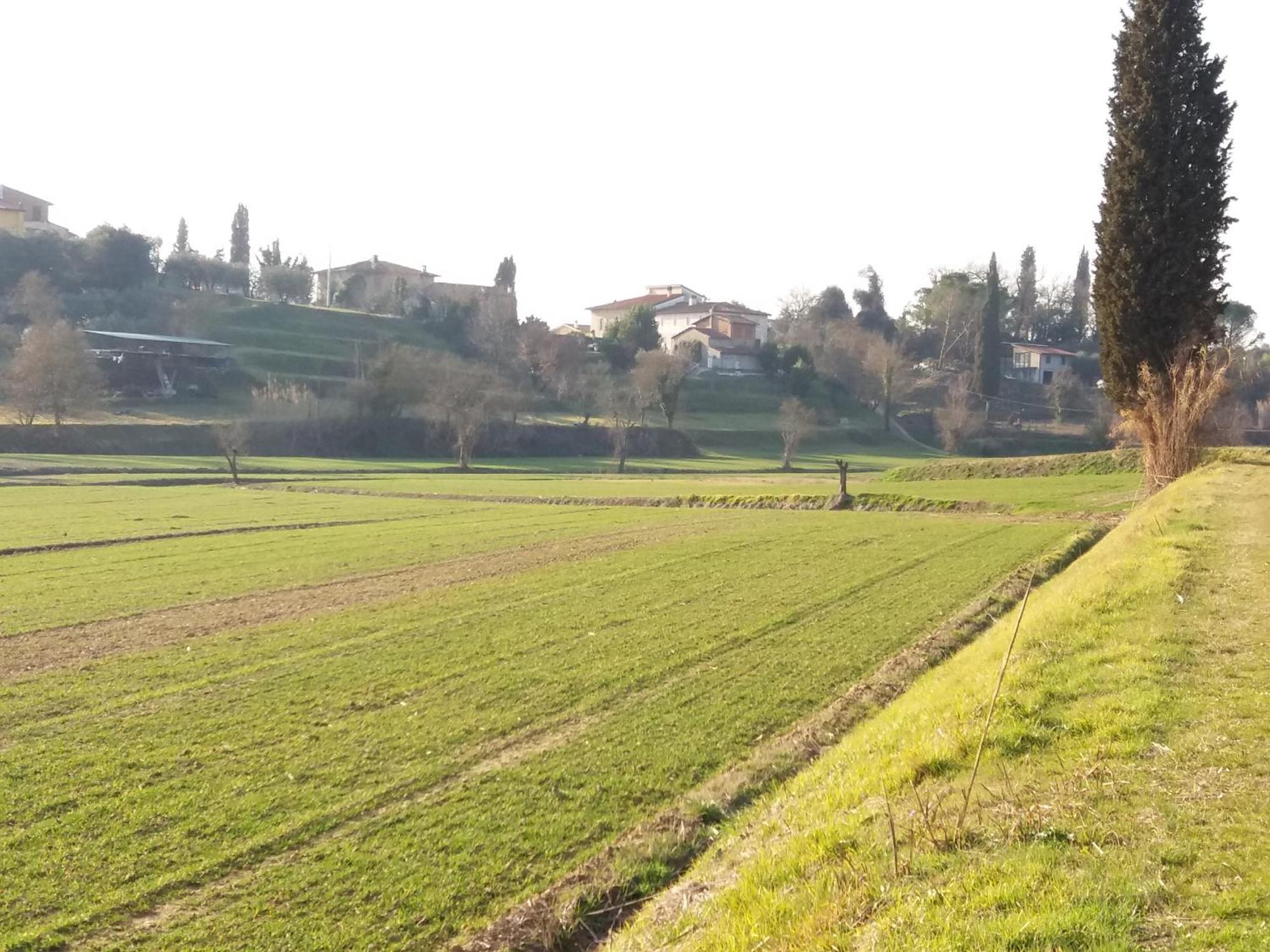Podere Gian Battaglia Fucecchio Exterior photo