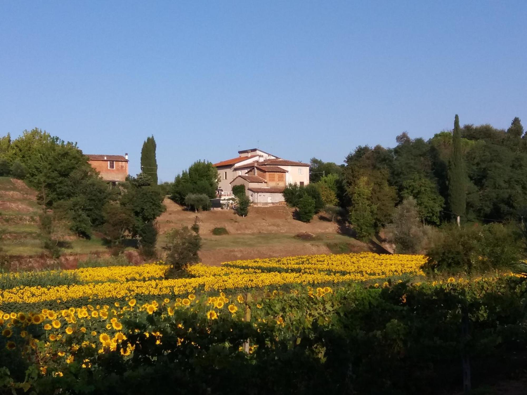 Podere Gian Battaglia Fucecchio Exterior photo