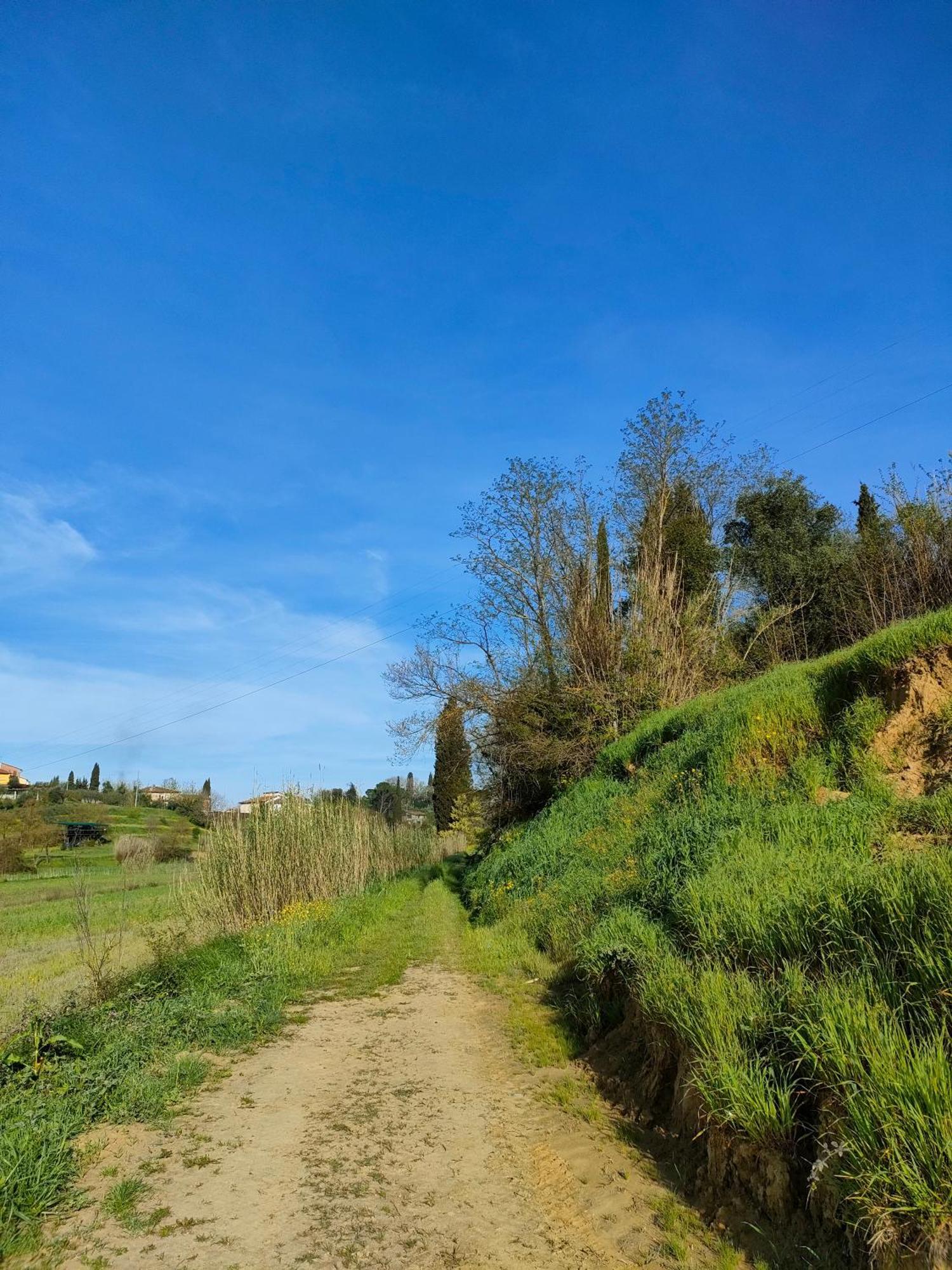 Podere Gian Battaglia Fucecchio Exterior photo